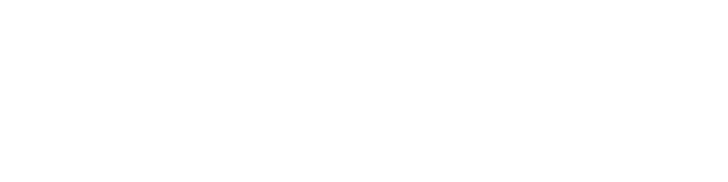 Turun Seudun Agilityurheilijat ry